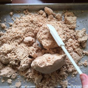 Dr. Petley - Making Acorn Flour