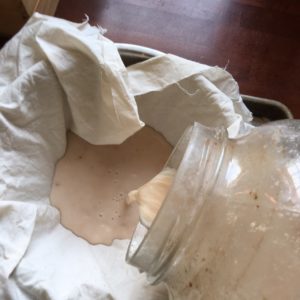 Dr. Petley - Making Acorn Flour
